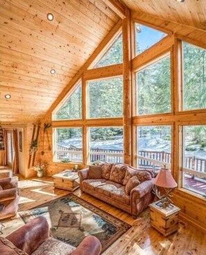 Fernseher, Kamin, DVD-Player