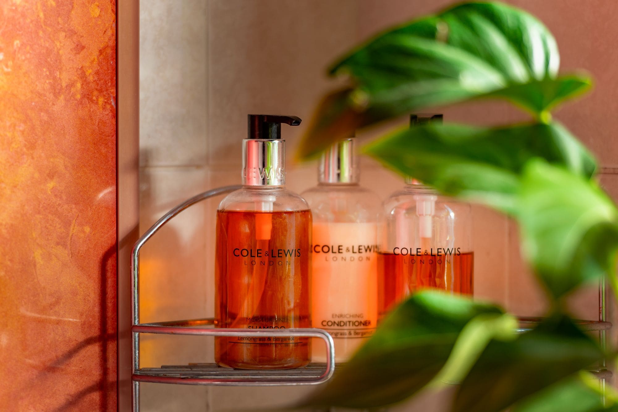 Foto - Cambridge Bed & Breakfast