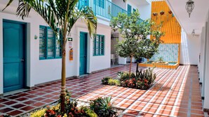 A courtyard with a tiled floor, a palm tree, and a small garden with various plants and flowers.