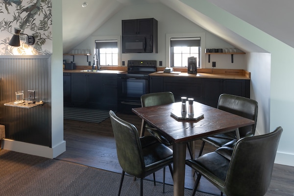 Apartamento premier, 1 cama King e sofá-cama, para não fumantes, cozinha | Cozinha privada | Geladeira grande, micro-ondas, cafeteira/chaleira, chaleira elétrica