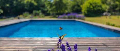 Utomhuspool