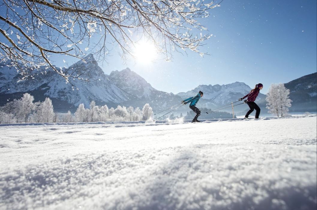 A snowy landscape with two skiers, a clear sky, and snow-covered trees.
