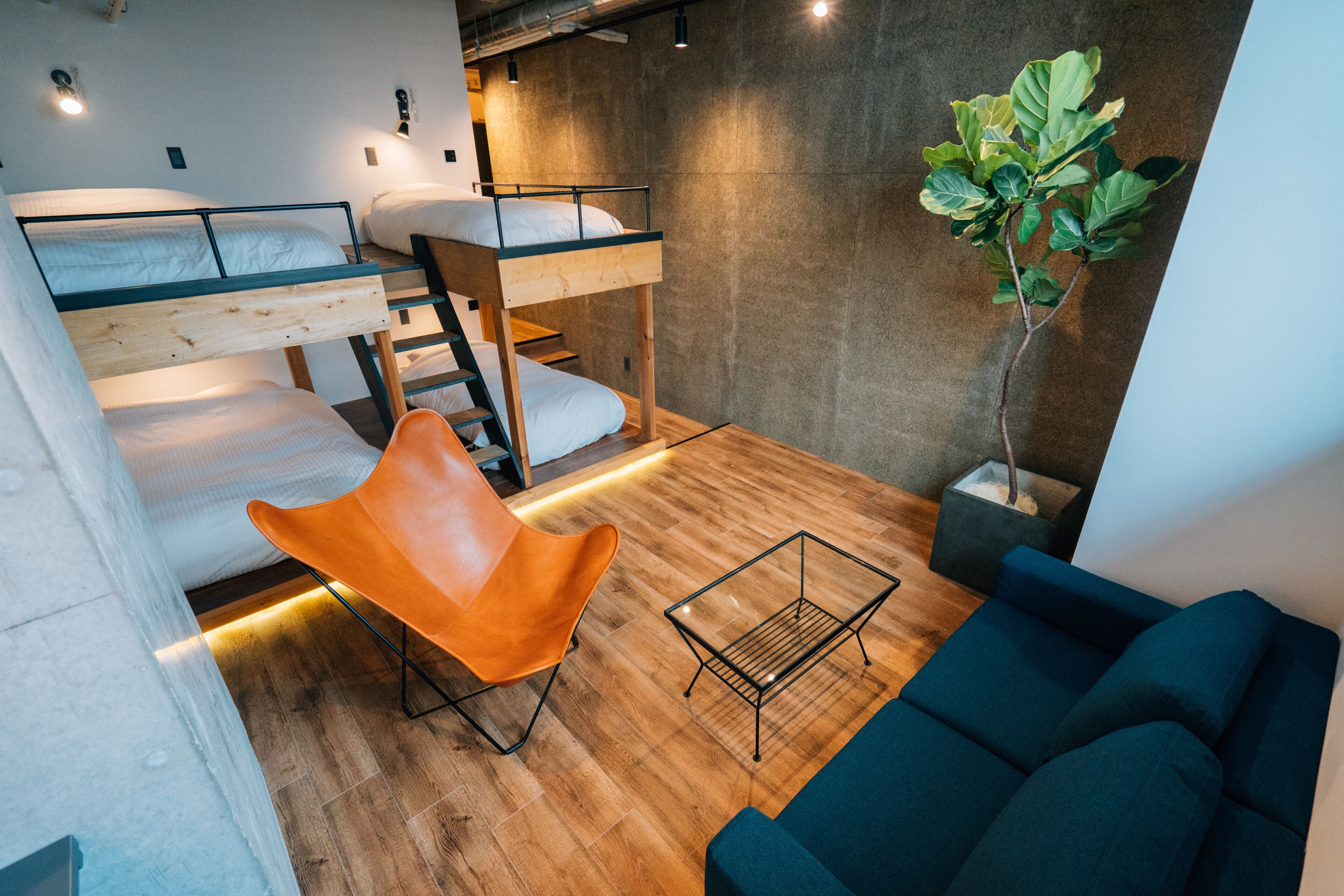 A bunk bed room with a wooden floor, a blue sofa, a metal coffee table, and a potted plant.