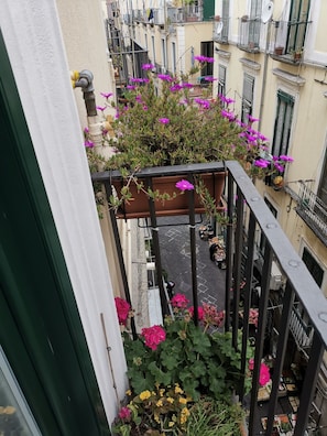 Varanda com um floreiro e vista da rua.