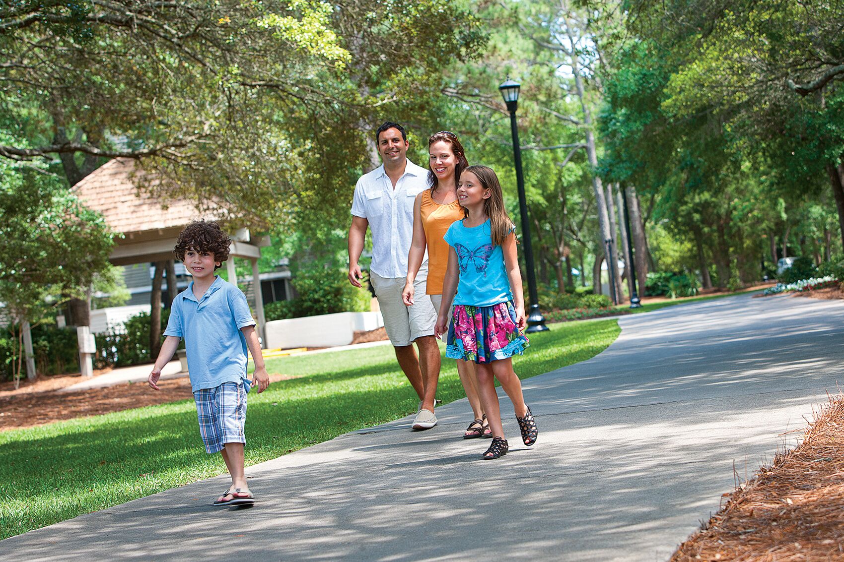 A family walking on a tree-lined street.