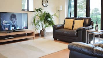 TV, DVD player