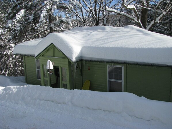 Cozy cabin with a pitched roof, door, and windows, set amidst snow-covered trees.