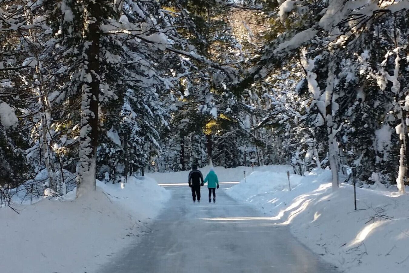 A snow-covered pathway flanked by trees, leading to a distant point.