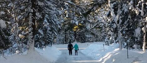 A snow-covered pathway flanked by trees, leading to a distant point.
