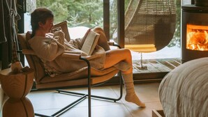 A cozy room with a large window, a hanging chair, and a wood-burning stove.