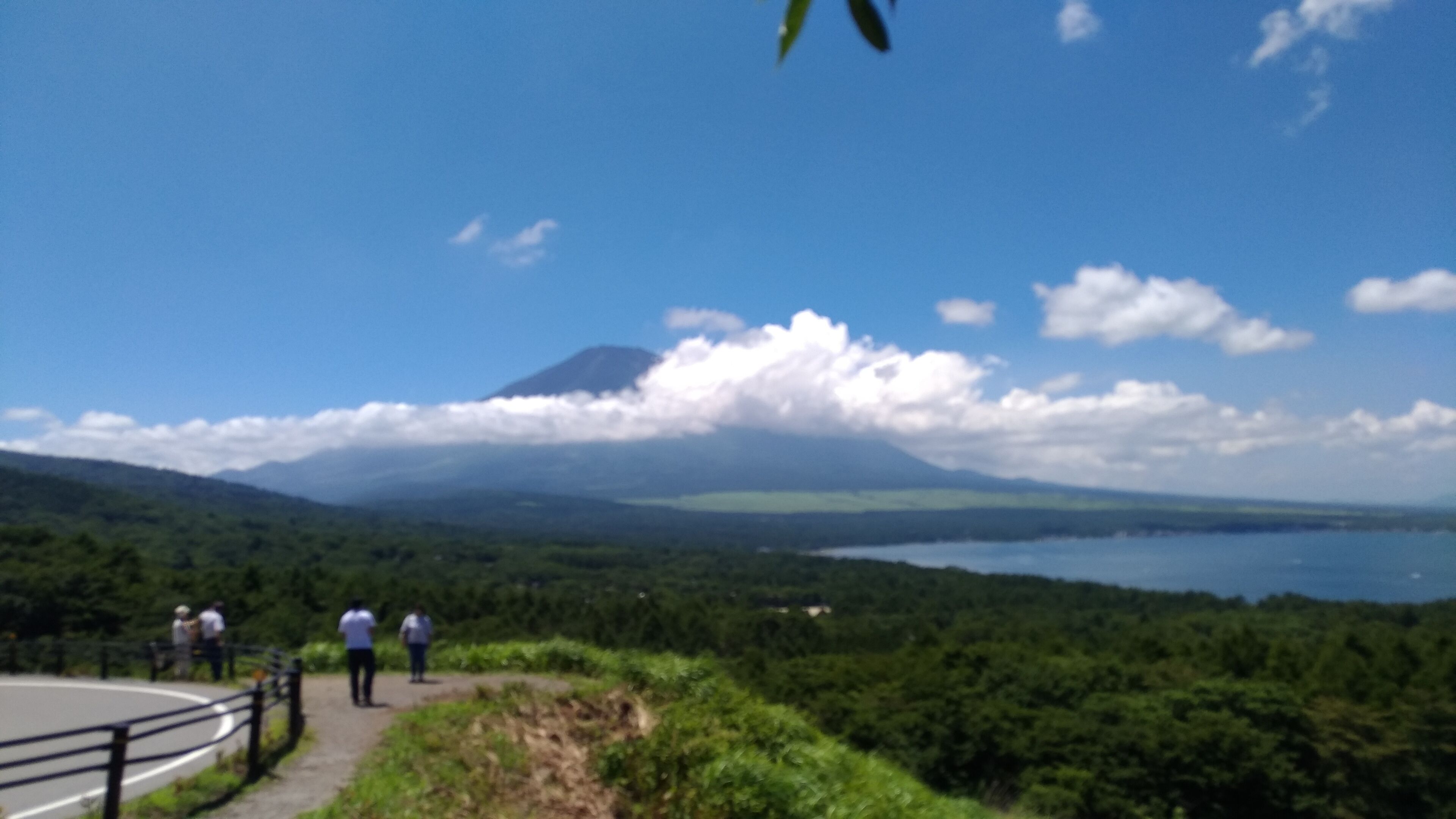 Un sendero pavimentado con barandilla, rodeado de vegetación exuberante y vistas a un lago y montañas distantes.