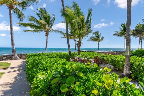Cayman Wind and Sea!