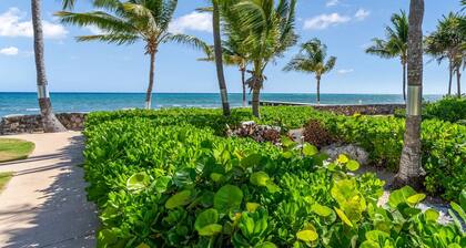 Cayman Wind and Sea!