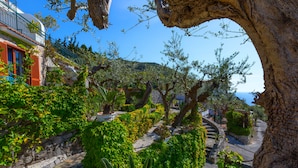 A coastal garden with stone pathways, lush greenery, and a view of the sea.