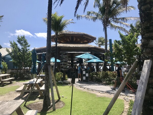 A tropical outdoor seating area with wooden tables and benches, surrounded by palm trees and a thatched-roof structure.