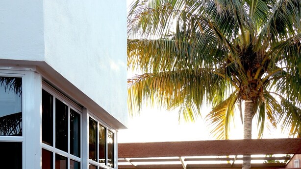 A covered patio with a view of a body of water, a palm tree, and two green chairs. - "Escape to Paradise: Suites Lorens in the Heart of Isla Mujeres" (Isla Mujeres)