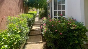 A narrow pathway flanked by lush greenery and a white building with a window. - "Escape to Paradise: Suites Lorens in the Heart of Isla Mujeres" (Isla Mujeres)