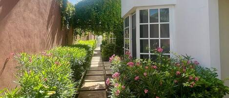 Un sendero estrecho bordeado por vegetación exuberante y un edificio blanco con una ventana.