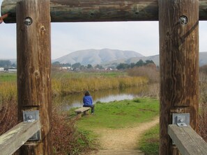 Property grounds - Point Reyes Station Vacation Home: Close to Town (Point Reyes Station)