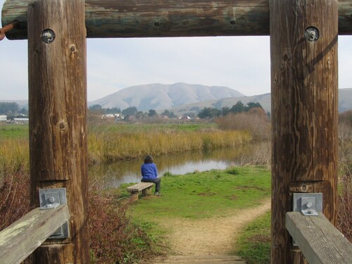 California: Point Reyes