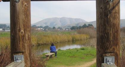 California: Point Reyes