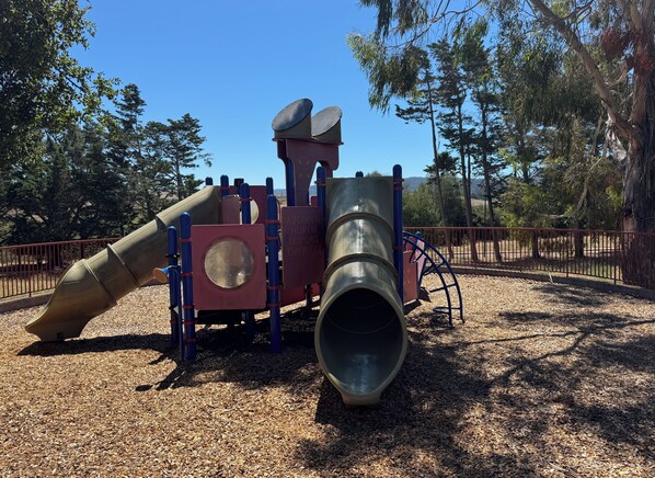 A playground with a slide and a climbing structure. - Peaceful Retreat in Point Reyes Station - Minutes to Town! (Point Reyes Station)