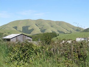 A rural landscape with a barn and a hill in the background. - Point Reyes Station Vacation Home: Close to Town (Point Reyes Station)