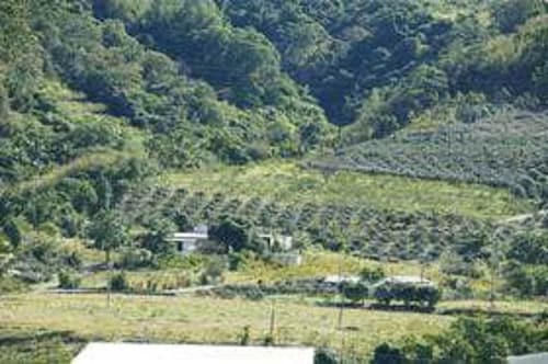 Taitung Fulu Homestay