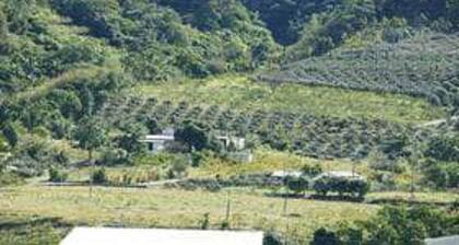 Taitung Fulu Homestay