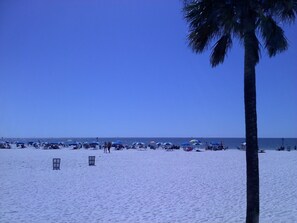 A beach with umbrellas and palm trees.