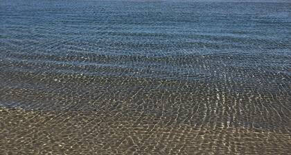 Charming Beachside studio - 2 min to the beach , pets welcome ...