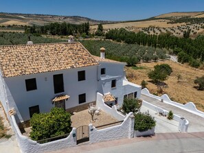 Exterior - Magnificent country house with pool, garden (Santa Cruz del Comercio)