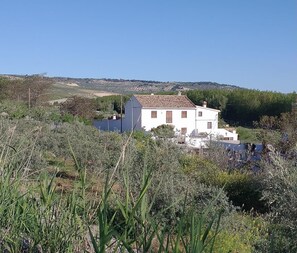 Exterior - Magnificent country house with pool, garden (Santa Cruz del Comercio)