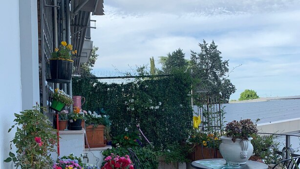 Un balcón con plantas en macetas, una estatua de león blanco y una mesa con sillas.