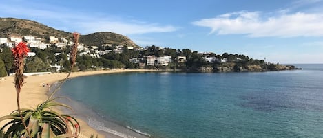 靠近海滩