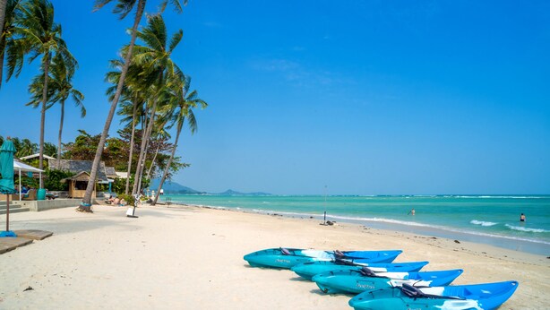 A beach with palm trees, a clear sky, and several blue kayaks lined up on the sand. - Baan Chanchai (Koh Samui)