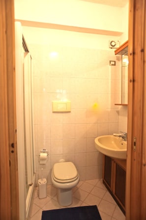 Secador de pelo, toallas, jabón y champú