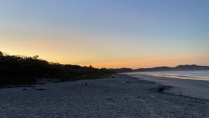 A beach with sand and scattered driftwood. - Casa tropical - Located in Playa Guiones - Nosara - Costa Rica (Playa guiones)