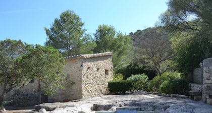 Secluded Finca with Private Pool and Extensive Garden in the Campanet valley