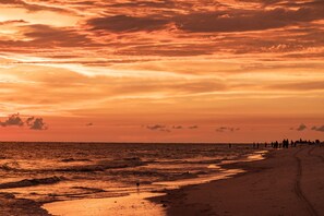 Camastros y toallas de playa 