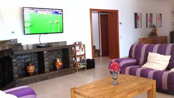 Télévision, cheminée, lecteur de DVD, baby-foot