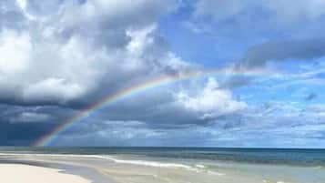 Serviettes de plage