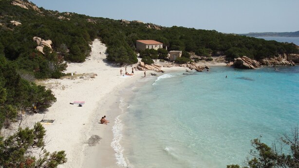 A beach with clear turquoise water, a sandy shore, and a few people. There are trees and rocks in the background. - Rent studio apartment  (La Maddalena)