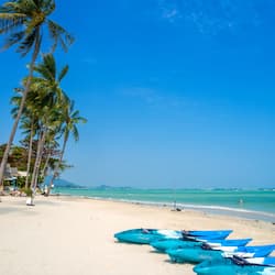 On the beach, white sand, beach bar, kayaking
