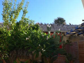 Escape to a tranquil oasis surrounded by lush plants and a garden.
