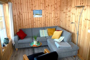 Una televisión, una chimenea, un reproductor de DVD, libros