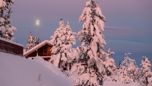 Eksteriør