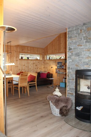 TV, fireplace, DVD player, books