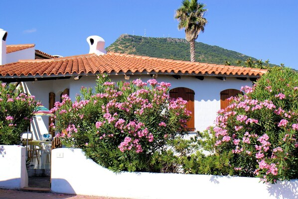 A white building with a tiled roof and pink flowering bushes in front.
