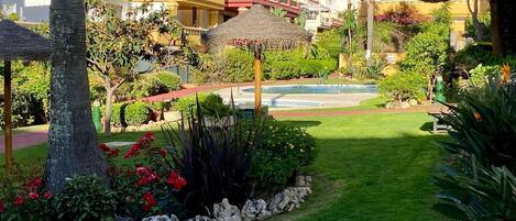 A well-maintained garden with a swimming pool, palm trees, and a variety of plants and flowers.